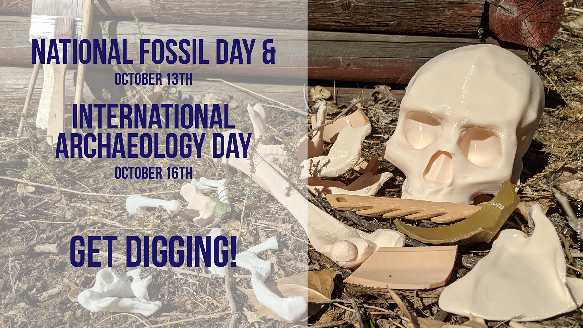 I Dig It 3D Printing Ideas for Fossil Day & Archaeology Day